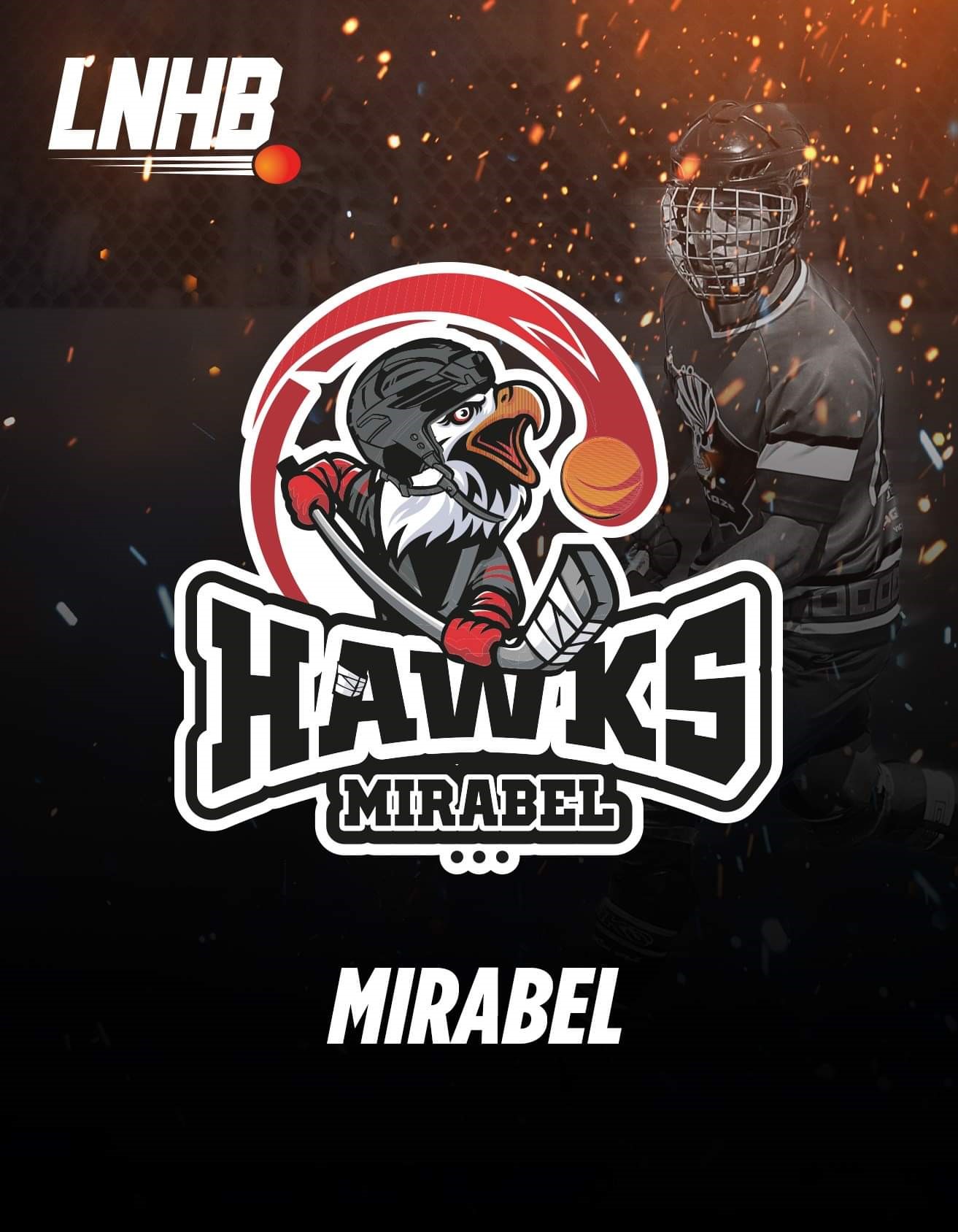 Logo Mirabel Lnhb